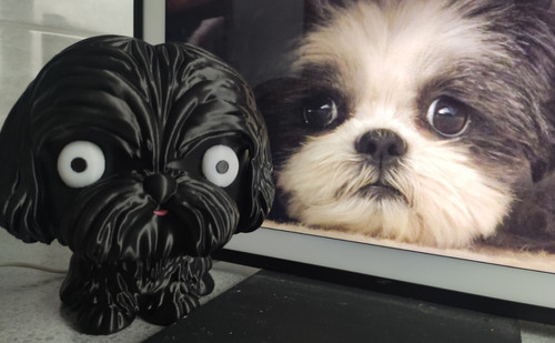 Echo dot shih tzu - dot,